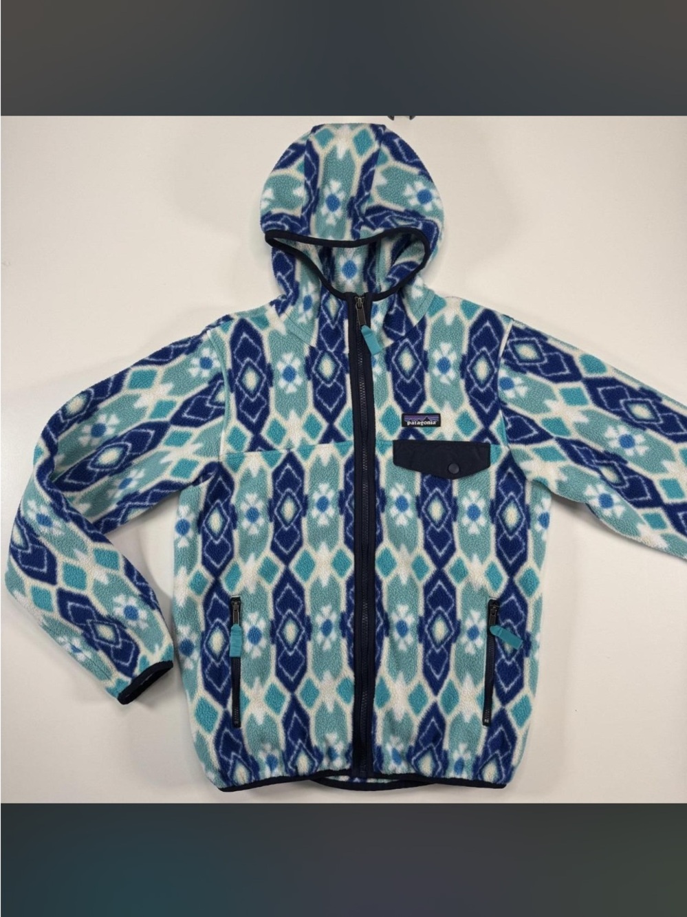 PATAGONIA Lightweight Snap-T Hooded Jacket Pine Patch Mogul Blue